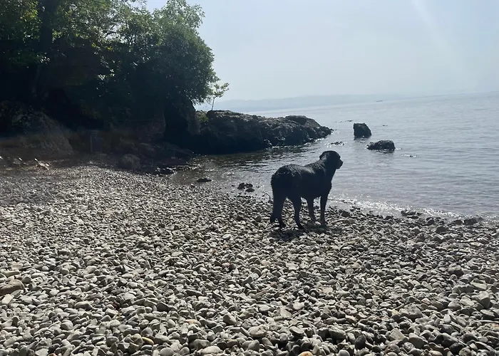 Prázdninový dům Casa Fiorella Ika-opatija *